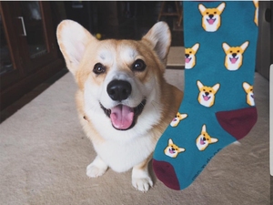 Socquettes courtes en coton pour femmes, <span class=keywords><strong>chaussettes</strong></span> décontractées à motifs d'animaux, chats, chiens, dessins personnalisés, été - Product Image 6