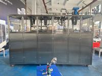 Machine de remplissage automatique de liquides Bag-in-Box à double tête en acier inoxydable 304 pour la production en usine, personnalisable OEM ODM