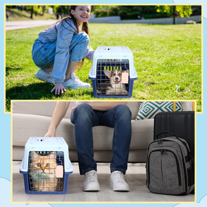 Portable Hard Sided Carrier Carry Breathable <b>Crate</b> Puppy Cage Tote Transport Box Travel Kennel Pet Carriers for Cats Dogs - Product Image 5