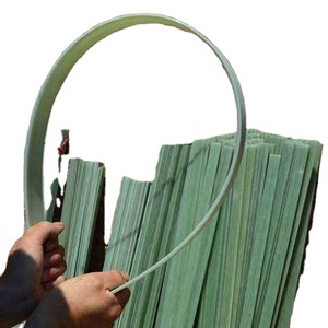 Bande de fibre de verre de résine époxyde pour des membres d'arc - Product Image 6