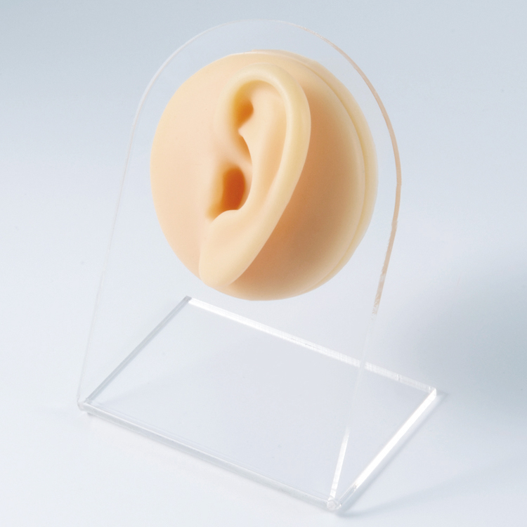 flesh left ear(with display stand)