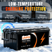 Batterie LiFePO4 24V 100Ah avec BMS, stock UE, pour camping-car, marine, système de stockage d'énergie solaire hors réseau