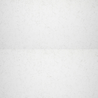 Feuilles de pierre artificielle Surface de surface en pierre de quartz massif Panneau de taille extra large pour panneaux muraux de comptoirs de cuisine