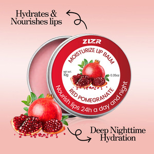 Baume à lèvres hydratant ZLZR 10g pour lèvres sèches, hydratant, nourrissant et éclaircissant, soin jour et nuit - Product Image 4