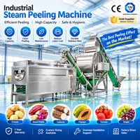 Industriële aardappel- en fruitpelschilmachines voor kersentomaten, gele perziken, druiven, kiwi's, appels, hagedoornen en ingeblikte producten.
