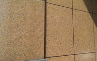 Peinture pour pierre véritable imperméable et résistante aux intempéries avec formule acrylique, revêtement effet granit pour les murs extérieurs des bâtiments