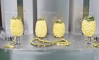 Automatische watermeloen, papaja, mango, taro schilmachine, fruit- en groenteschilmachine