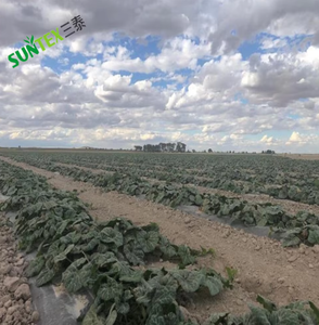 Malla Antihierbas Biodegradable de 1.5m x 500m <span class=keywords><strong>para</strong></span> Plantas y Vegetales, Cobertura del Suelo, Plástico de 20 Micras - Product Image 3