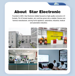 ชุดสายไฟรถยนต์ แกนทองแดง หุ้มยาง/ซิลิกาเจล/PBT/PTFE/PVC 12V 100มม. สายไฟรถยนต์แบบกำหนดเอง สายไฟสำหรับไฟรถยนต์/สายไฟ DT - Product Image 6