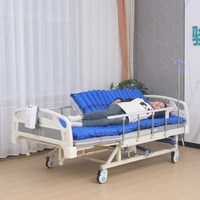 Lit médical manuel à double manivelle avec tête et pied de lit en plastique ABS, barrières latérales semi-pliables et frein de roulettes pour soins aux patients à domicile