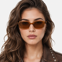 Suneyes OEM&ODM Lunettes de soleil vintage de luxe unisexes, design personnalisé, légères et durables