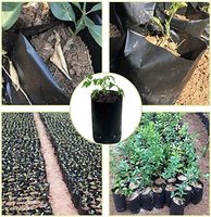 DD1573 tas pembibitan PE tebal hitam, tas bibit pohon Bonsai dengan lubang berpori 100 buah