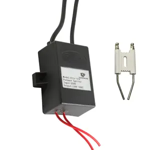 Professional 220V Standard Ignition Module Electronic Pulse Igniter