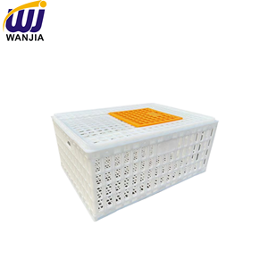 Thùng vận chuyển gà nhựa WANJIA, chuồng gia cầm cho trang trại chăn nuôi, xử lý vịt, thiết kế bền chắc, xếp chồng được, dễ vệ sinh - Product Image 5