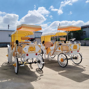 Charrette Électrique Certifiée CE pour le Transport en Parc, Chariot de Luxe à Double Rangée pour Visites Touristiques Européennes à Vendre - Product Image 3
