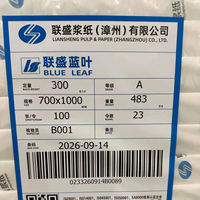 Vente en gros promotionnelle : Carton blanc Liansheng GC1 C1s 100% pâte de bois FBB pour impression et emballage