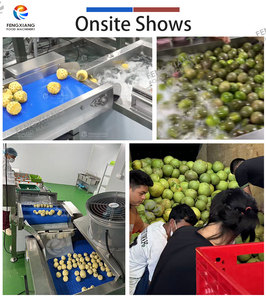 Línea de Procesamiento de Frutas y Verduras Personalizada, Máquinas de Lavado para Pepino, Papa, Pimiento, Manzana y <span class=keywords><strong>Albaricoque</strong></span> - Product Image 4