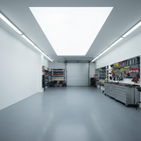 Panel de Luz LED de Película Suave de Alto Brillo para Talleres de Detallado de Automóviles, Iluminación Profesional para Automóviles