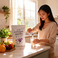 Poudre de protéines multi-collagène à marque privée OEM, suppléments de biotine et de vitamine C certifiés GMP pour la beauté de la peau et la croissance des cheveux chez l'adulte