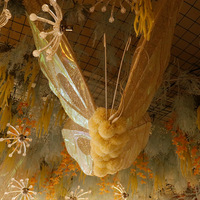 Décorations de plafond pour mariage, centres de table suspendus, éclairage LED, ampoules jaunes et blanches, AC 110V 220V, décoration lumineuse en forme de papillon