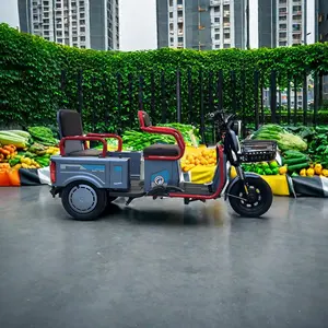 Điện Xe Ba Bánh Vespa 3 Bánh Xe Scooter Trung Quốc Giá Rẻ Người Lớn E Xe Đạp 3 Bánh Xe Hàng Hóa Xe Đạp Hành Khách Xe Máy Dành Cho Người Lớn Mở 501 - 800W