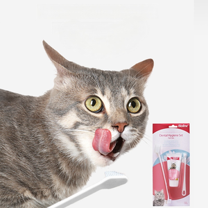 Usine en gros 3 en 1 saveurs de boeuf <span class=keywords><strong>chat</strong></span> brosse à dents dentifrice Pet Kit dentaire chien brosse à dents - Product Image 5