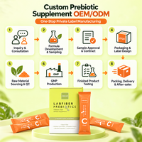 Bâtonnets de poudre de fibres prébiotiques à marque privée avec Psyllium Husk, Fibre de pêche, Bacillus Coagulans – Complément quotidien de fibres OEM ODM