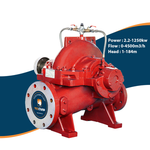 Fabricant de pompes centrifuges horizontales à double aspiration à corps divisé pour la lutte contre les incendies - Product Image 1