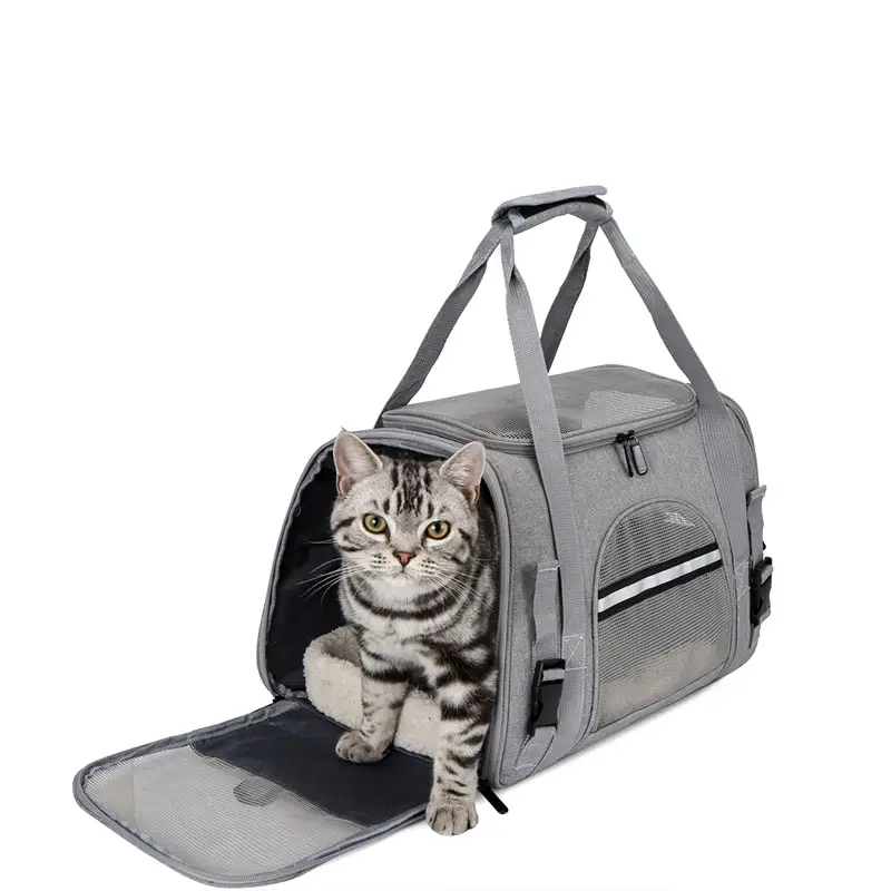 Mới sang trọng trong suốt hãng hàng không thiết kế mèo nhỏ Pet Carrier Túi satchel