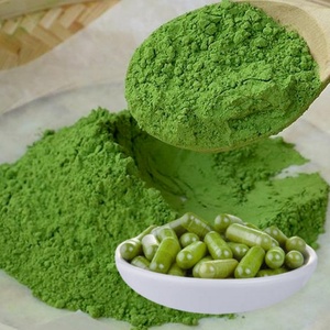 High Quality Nature Moringa Extract Powder Organic Moringa Powder Whosale Herbal Supplement - Product Image 5