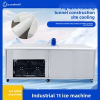 Venta Directa de Fábrica en Guangdong, Máquina de Hielo en Cubos de 1-5t, Modelo CYBZJ-1, para Cafeterías y Restaurantes, Equipo de Refrigeración para Procesamiento de Carne