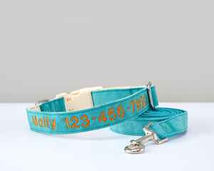 Collier pour chien en daim bleu sarcelle brodé avec nom et coordonnées personnalisés, laisse multicolore réglable - Product Image 2