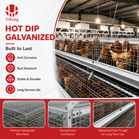 Système d'alimentation automatique efficace pour cages à poussins de type A, destiné aux fabricants d'équipements d'élevage commercial de volailles