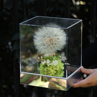 Boîte cadeau carrée en acrylique avec pissenlit géant préservé fait main, décorations pour la maison, fleurs d'hortensia et de gypsophile préservées à jamais