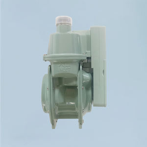 Medidor de Gas con Diafragma de Aluminio G1.6, NB-IoT/GPRS/4G, Caudal de 0.016-2.5 M/h para Uso Doméstico, 1 Año de Garantía - Product Image 3