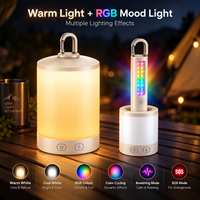 Lampu Camping LED RGB 2 in 1 Lepas Pasang Isi Ulang USB C Portabel, Lampu Tenda Genggam untuk Luar Ruangan, Grosir OEM ODM