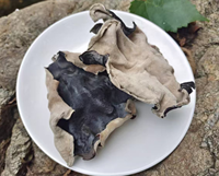Vente en gros à prix compétitif de Champignons noirs séchés (Fungus Wood Ear) de troisième et quatrième récolte, grande taille