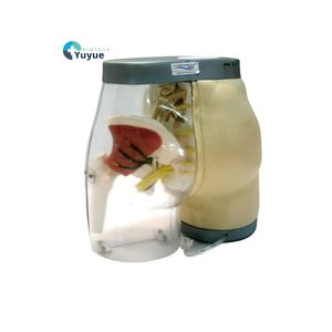 Modèle avancé de soins infirmiers en PVC pour l'entraînement par <span class=keywords><strong>injection</strong></span> <span class=keywords><strong>intramusculaire</strong></span> fessière <span class=keywords><strong>Injection</strong></span> musculaire efficace avec structure anatomique - Product Image 1