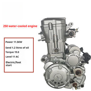 Moteurs de moto 250cc, moteur de moto à trois roues 250cc - Product Image 3