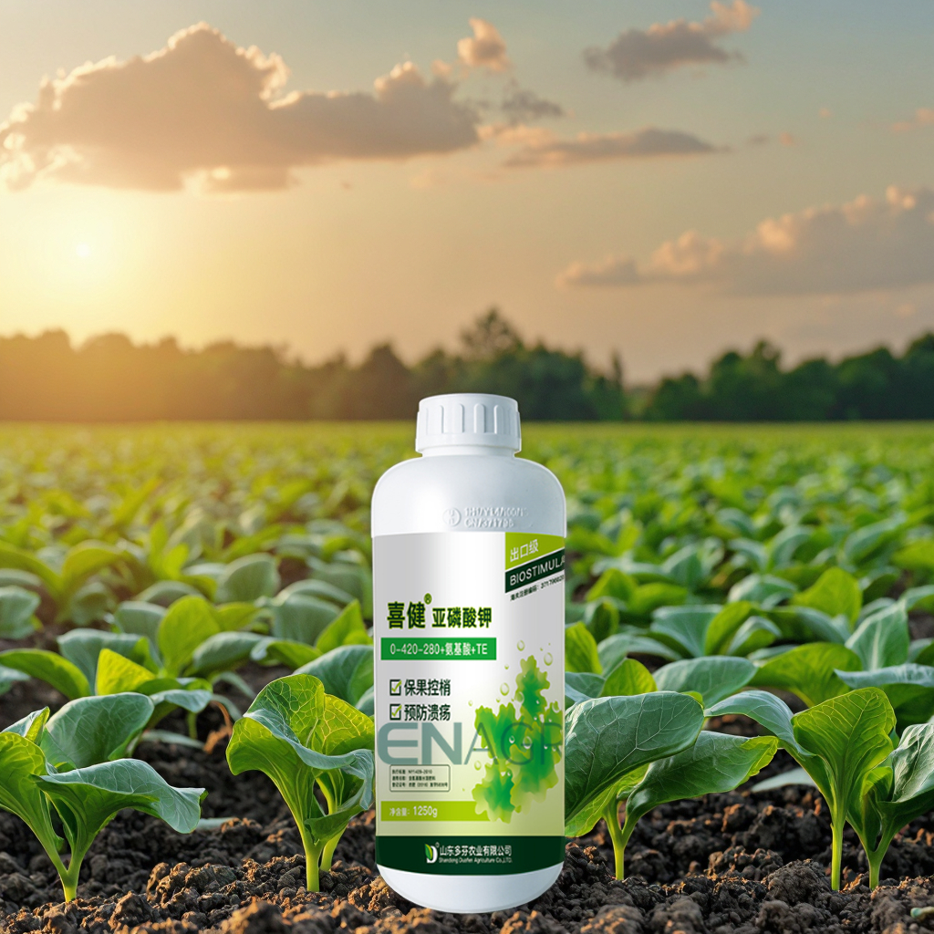 Wholesale Potassium Phosphite Liquid 0-52-34 Fertilizer