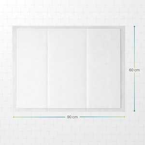 เก้าอี้มาเอสโตรโพลีโพรพิลีน 53x52x81 ซม. ออกแบบตามหลักสรีรศาสตร์พร้อมแผ่นยาง - Product Image 2