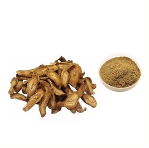 天然ゴボウ根エキス粉末有機アルクティウムラッパエキス工場供給 - Product Image 3