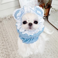 Animal de compagnie chat chien Anti-sale dentelle garniture couvre-chef mignon Bichon frisé couvre-chef Photo drôle