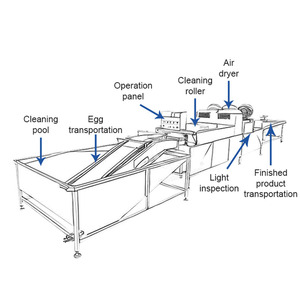 OCEAN Industrial Egg <b>Wash</b> <b>Machine</b> Automatic Egg Brush <b>Cleaner</b> Duck Egg Washer <b>Machine</b> - Product Image 2