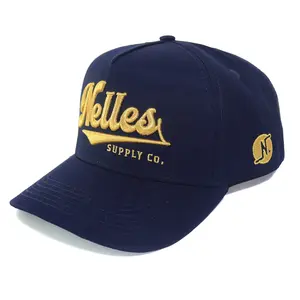 Custom Logo A Frame Hat Men and Women Cap and Hat Summer gold color logo thread Wholesale Sports Hats Men Baseball Cap