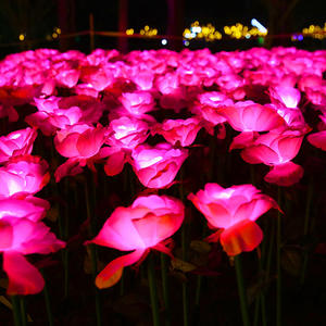 Guirlande lumineuse à LED pour paysage extérieur, rose <span class=keywords><strong>d</strong></span>'oreille <span class=keywords><strong>de</strong></span> <span class=keywords><strong>blé</strong></span> rougeoyante, lumières <span class=keywords><strong>de</strong></span> Noël et <span class=keywords><strong>de</strong></span> vacances avec lanternes - Product Image 2