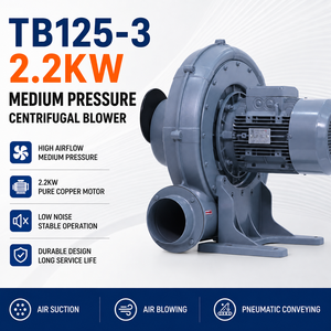 TB125-3 2.2KW 380V เครื่องเป่าลมแรงเหวี่ยงแบบแรงดันปานกลาง อลูมิเนียมอัลลอยด์ 2500 รอบต่อนาที สำหรับดูดอากาศ ระบบสุญญากาศ และระบบลำเลียงด้วยลม (OEM) - Product Image 1