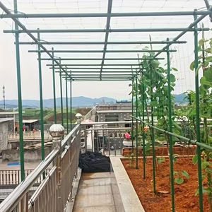 Piquets de jardin TOPFRP verts en métal recouverts de plastique, support d'escalade, modèle TOP609 - Product Image 5