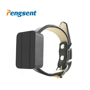 Pengsent PT530 4G Factory OEM Waterproof Pet GPS Tracker With Free Leather Collar Support APP+Web+SMS Tracking System For Dog/Ca