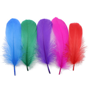 Plumas de Ganso Naturales para Manualidades, Decoración de Sombreros, Accesorios para el Cabello, Disfraces, Carnaval, Fiestas y Bodas - Product Image 1